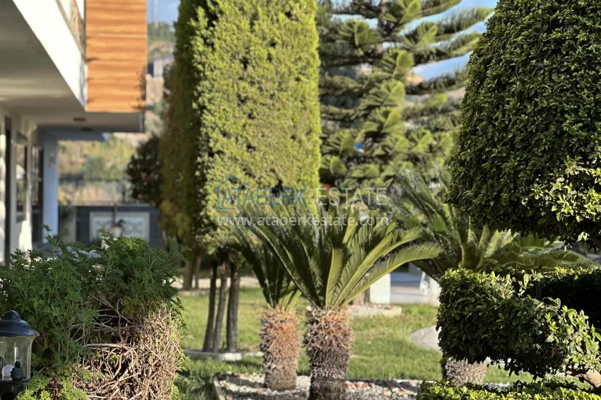 Premium complex for those wishing to obtain Citizenship 18