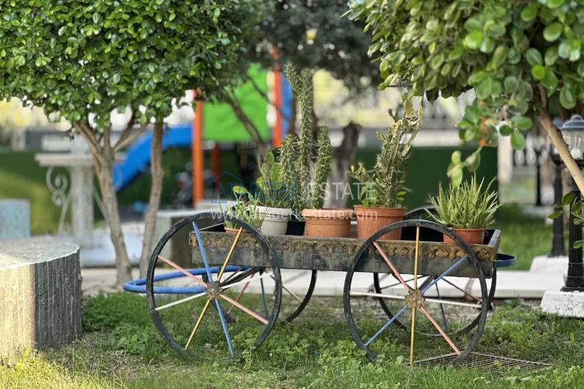 Premium complex for those wishing to obtain Citizenship 19