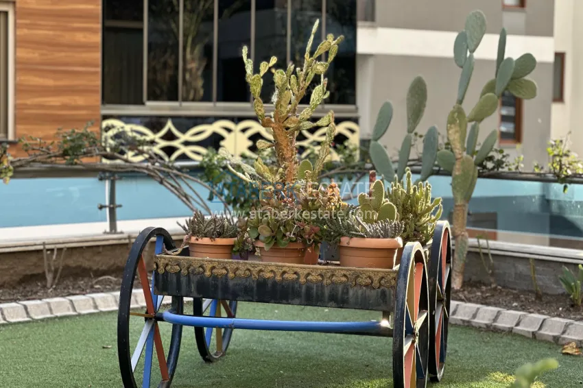 Premium complex for those wishing to obtain Citizenship 20