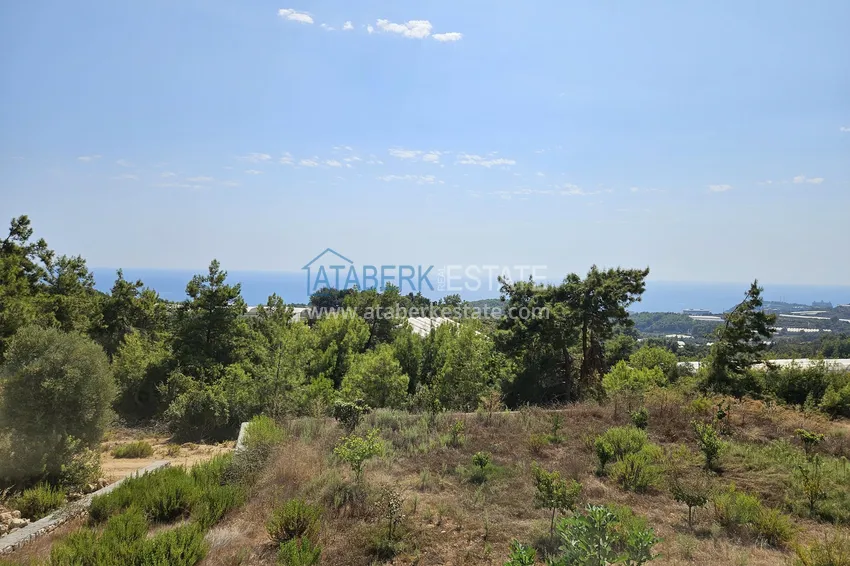 Purchase  Luxury private villa in Alanya, Incekum district. Citizenship property 39 