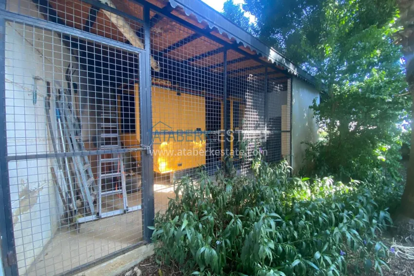 One bedroom apartment with furniture in Cikcilli district, Alanya 20 