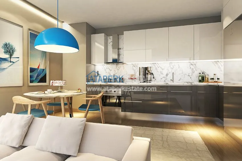 Purchase A project with the concept of a hotel under construction in Istanbul 4 