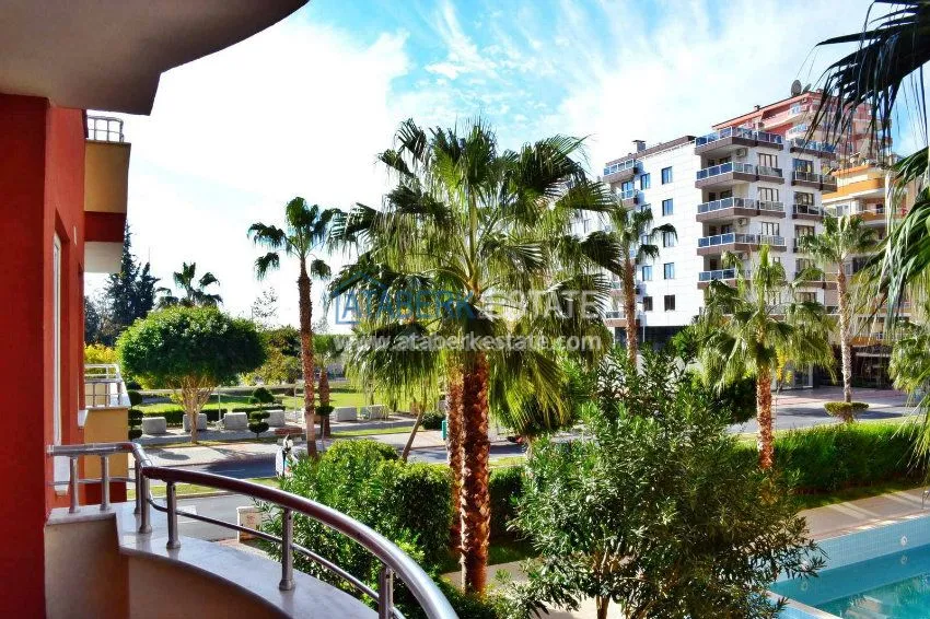 Purchase первая 17 