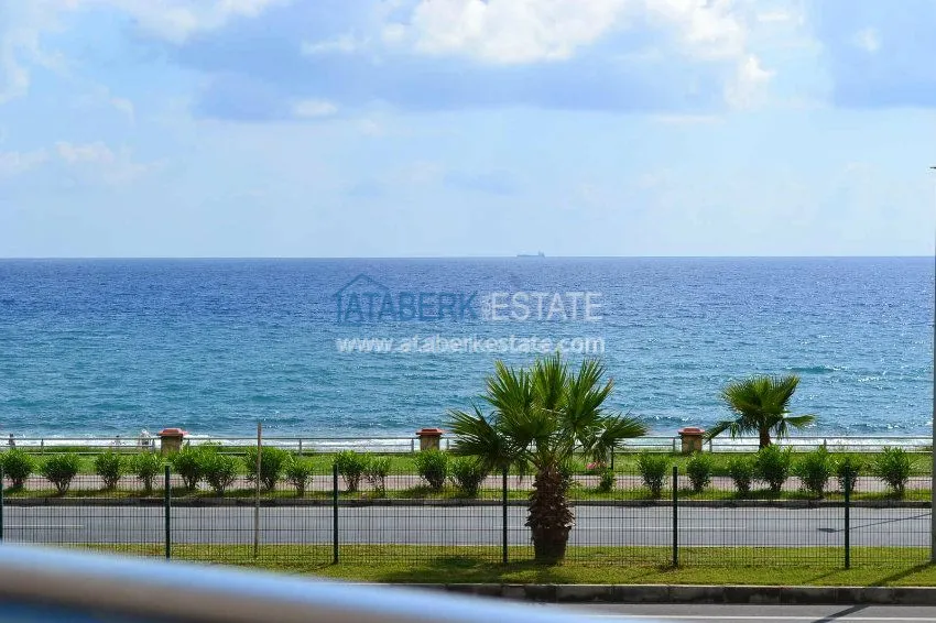 Purchase первая 21 