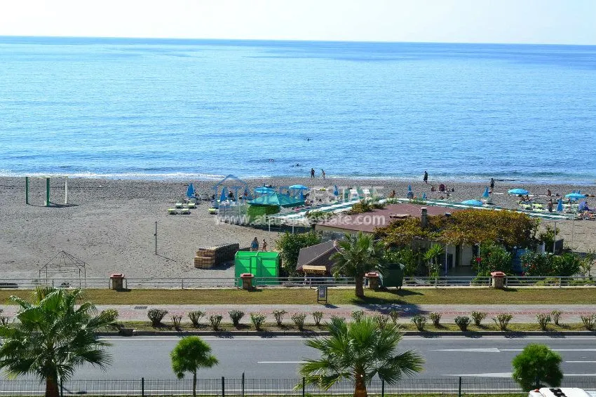 Purchase первая 22 