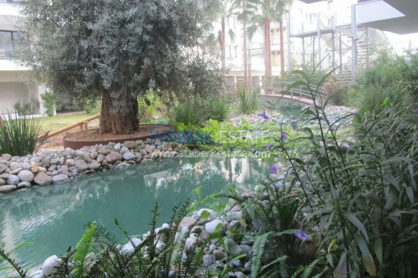 Purchase  Меблированная студия с видом на Средиземное море. 1 