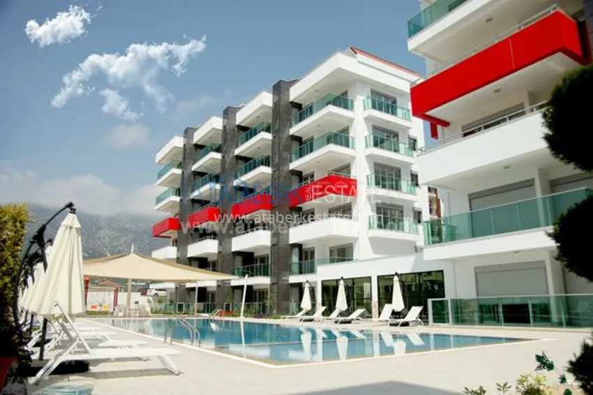 Apartment for rent 50 meters from the Mediterranean Sea 1 