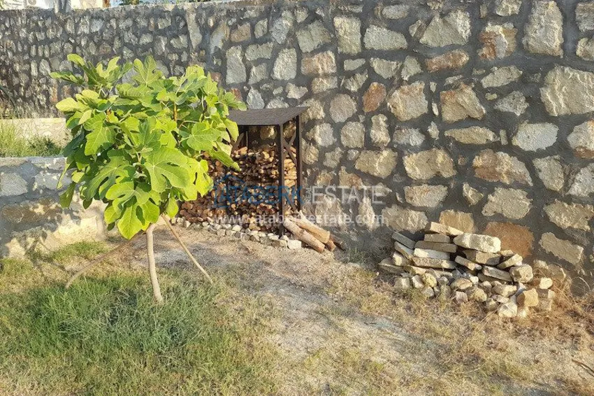 Furnished villa with land plot and equipment waiting for its owner! 2 