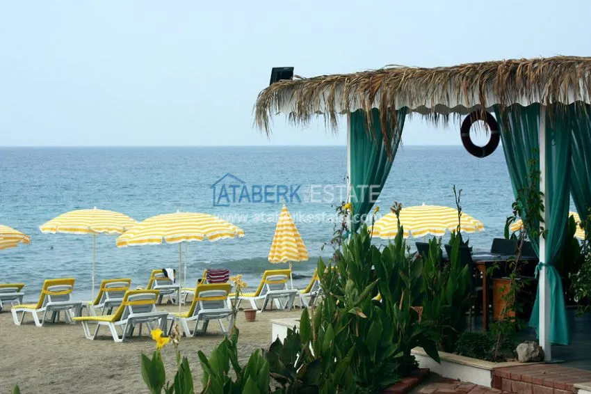 Apartment for rent 50 meters from the Mediterranean Sea 3 