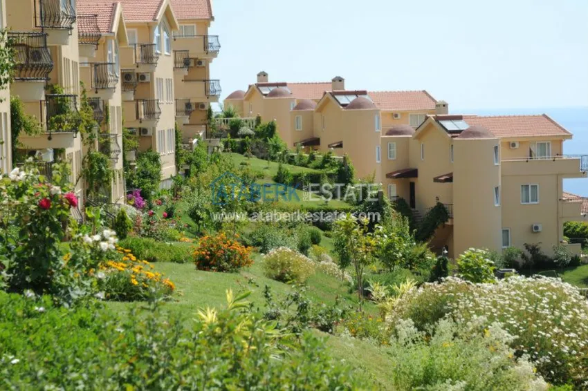 Offer from the owner in the Goldcity complex 3 