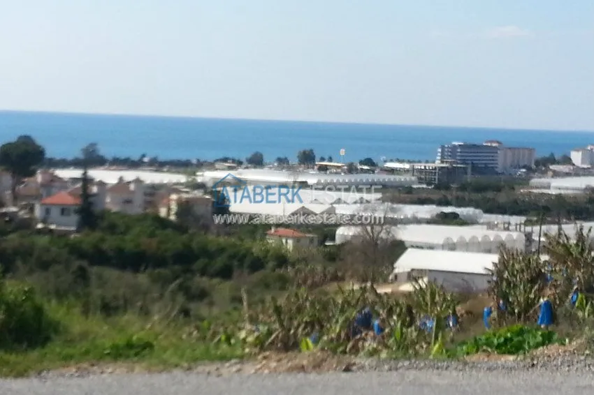 Земельный участок под строительство виллы в Турции 5 