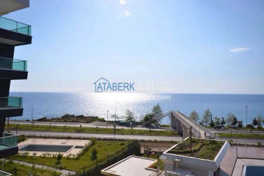 Замечательная студия по ОЧЕНЬ низкой цене в ЭЛИТНОМ комплексе на берегу моря! 12 