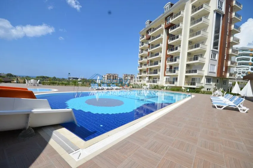 Orion 4 Avsallar, Orion Garden from the developer 7 