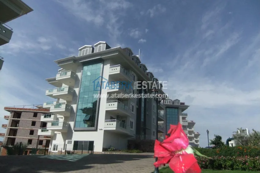 Complex Olive City in Alanya 7