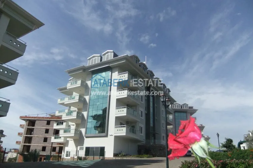 Complex Olive City in Alanya 8