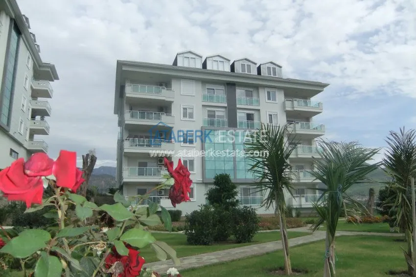 Complex Olive City in Alanya 19