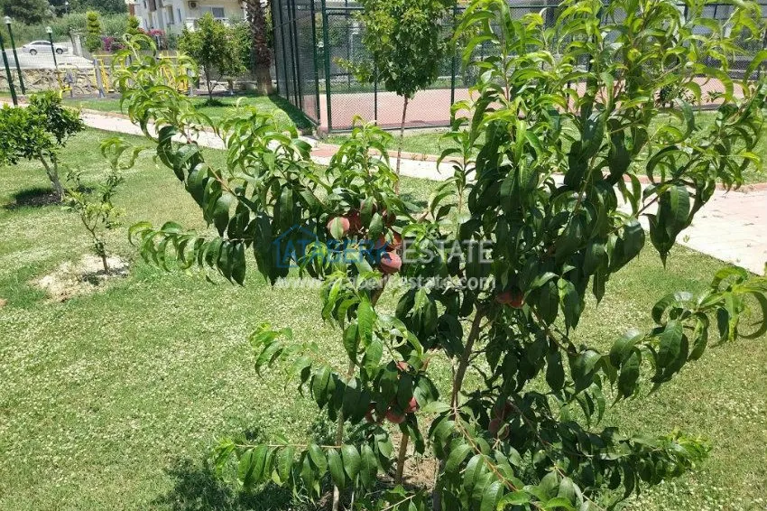 Апартаменты 1+1 в современном комплексе. 15 