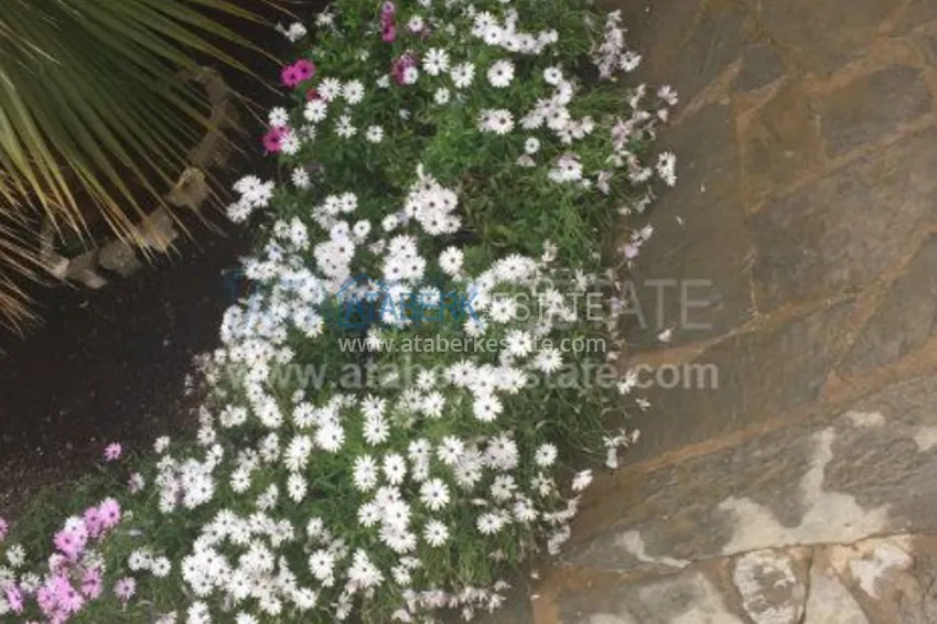 Villa with panoramic views! 17