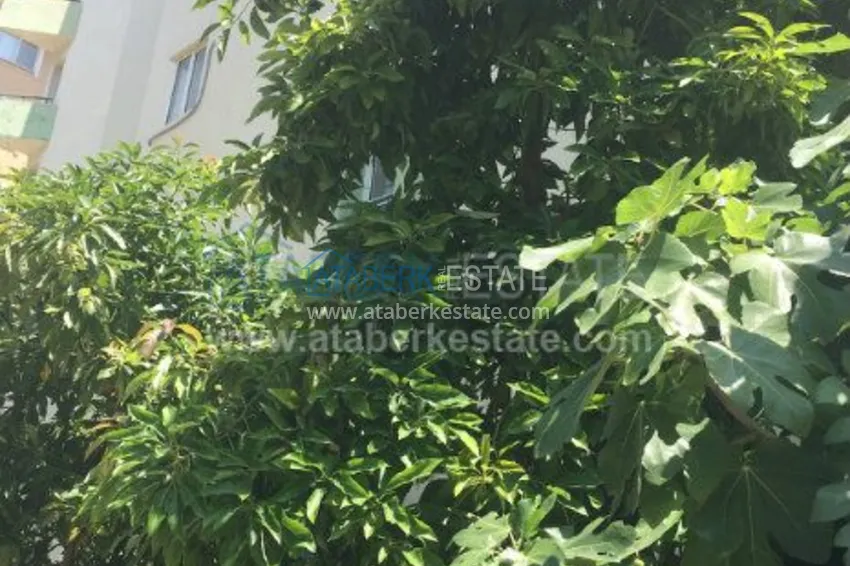 Penthouse for a good price 25 