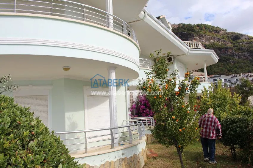 Потрясающее предложение для истинных ценителей! 2 