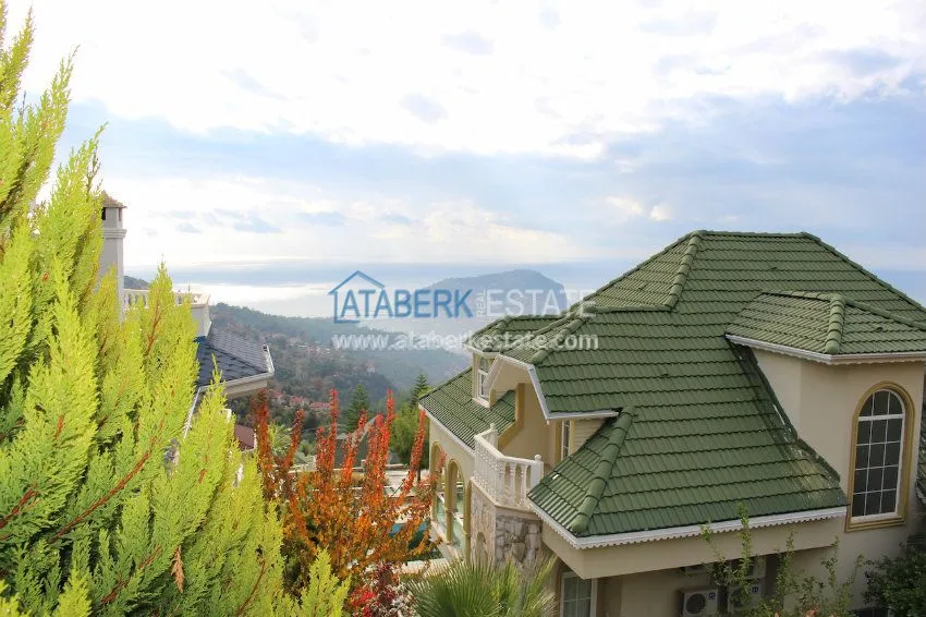 Потрясающее предложение для истинных ценителей! 5 