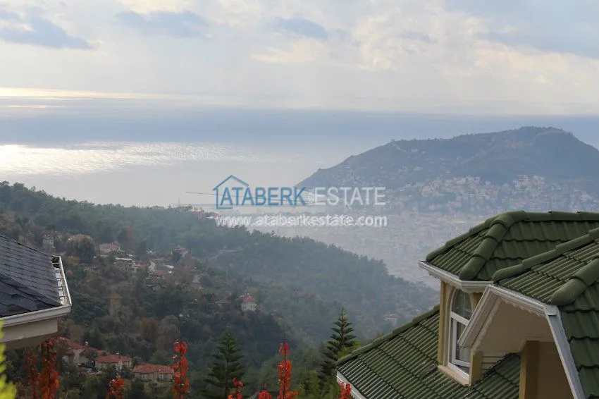 Потрясающее предложение для истинных ценителей! 6 