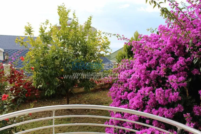 Потрясающее предложение для истинных ценителей! 13 