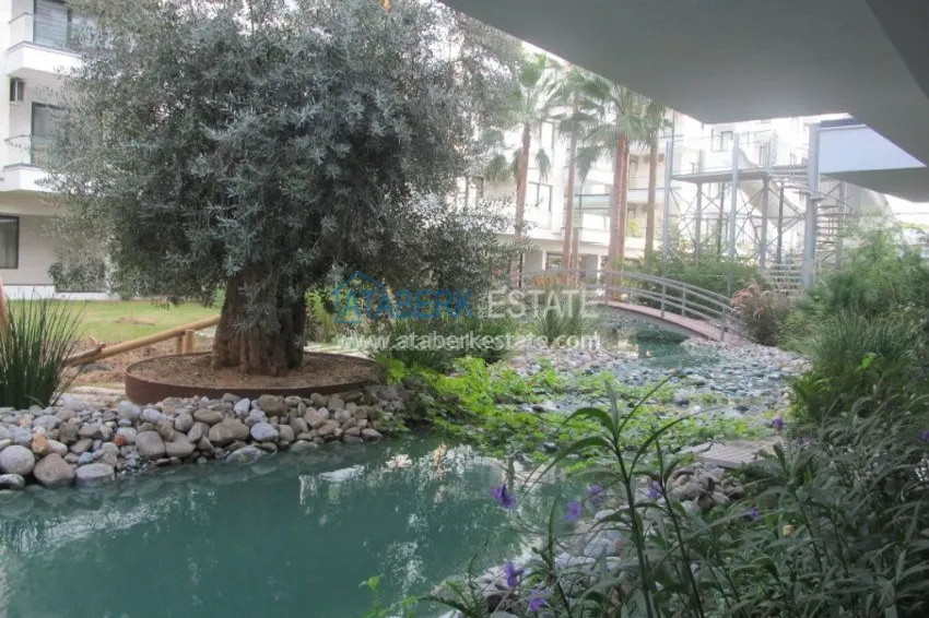 Потрясающее предложение для истинных ценителей! 17 