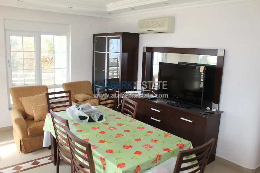 Потрясающее предложение для истинных ценителей! 20 