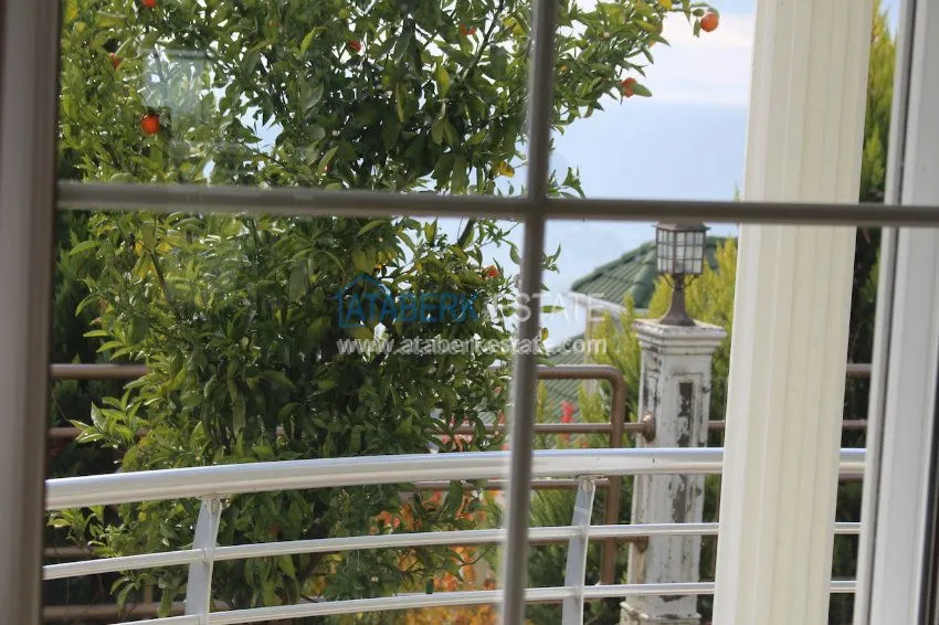 Потрясающее предложение для истинных ценителей! 23 