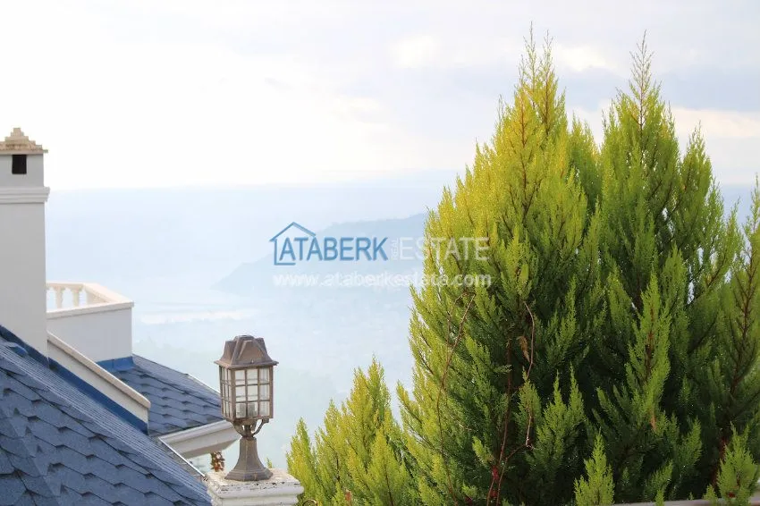 Потрясающее предложение для истинных ценителей! 24 