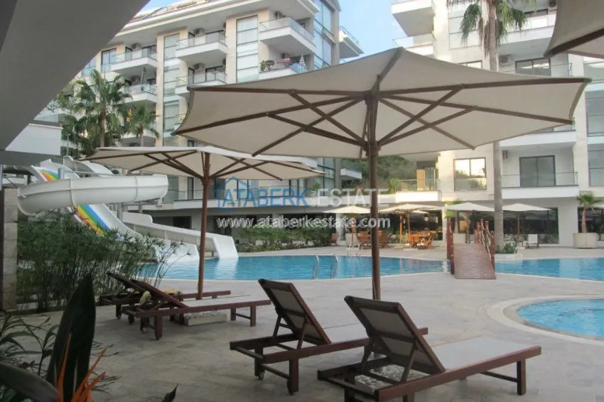 Потрясающее предложение для истинных ценителей! 25 