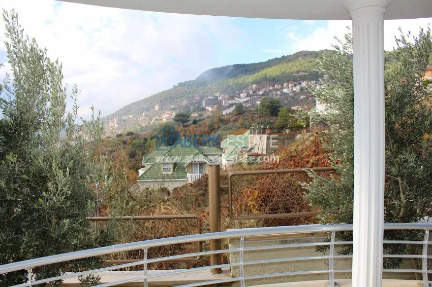 Потрясающее предложение для истинных ценителей! 26 