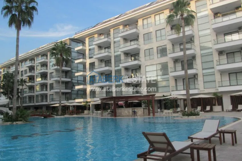 Потрясающее предложение для истинных ценителей! 27 