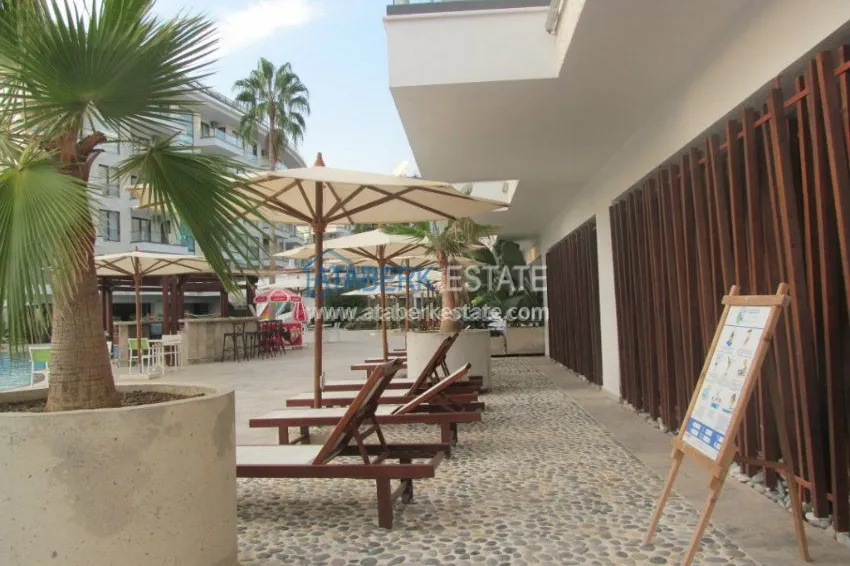 Потрясающее предложение для истинных ценителей! 32 