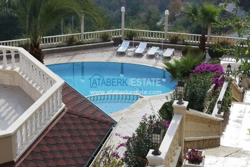 Потрясающее предложение для истинных ценителей! 35 