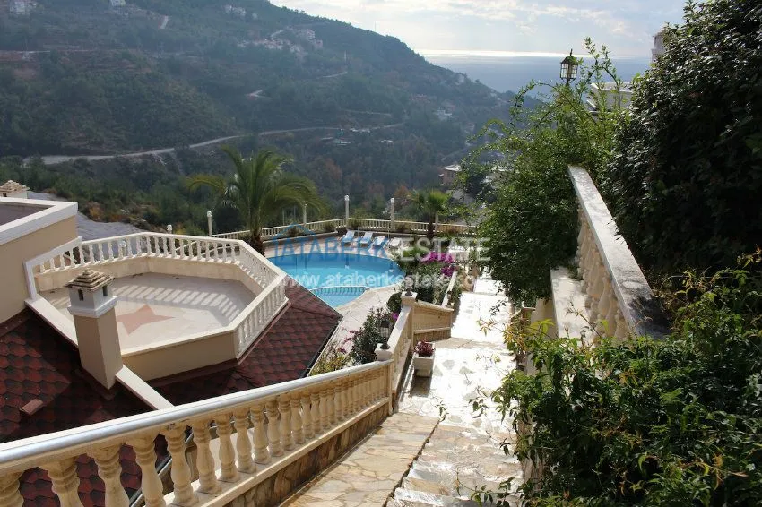 Потрясающее предложение для истинных ценителей! 36 