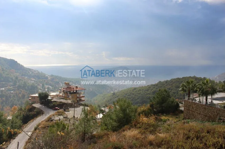 Потрясающее предложение для истинных ценителей! 38 