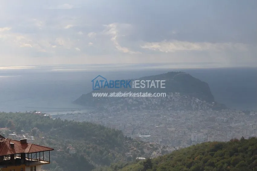 Потрясающее предложение для истинных ценителей! 39 