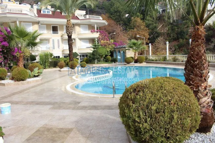 Потрясающее предложение для истинных ценителей! 40 