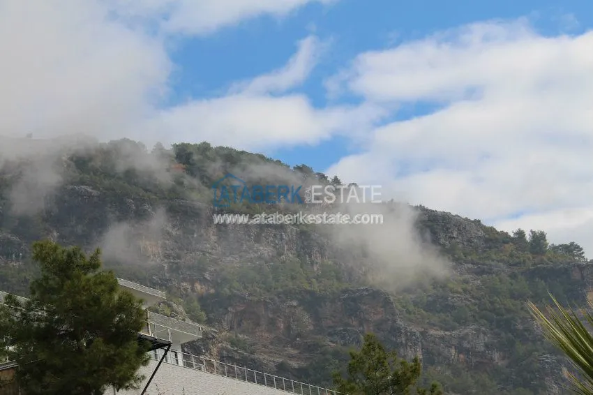 Потрясающее предложение для истинных ценителей! 41 