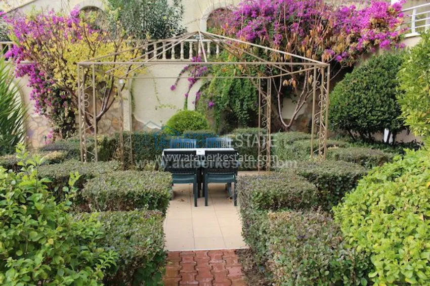 Потрясающее предложение для истинных ценителей! 42 