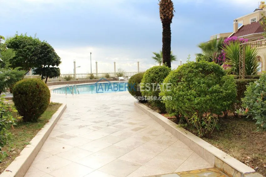 Потрясающее предложение для истинных ценителей! 52 