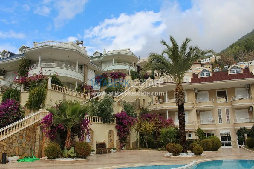 Потрясающее предложение для истинных ценителей! 54 