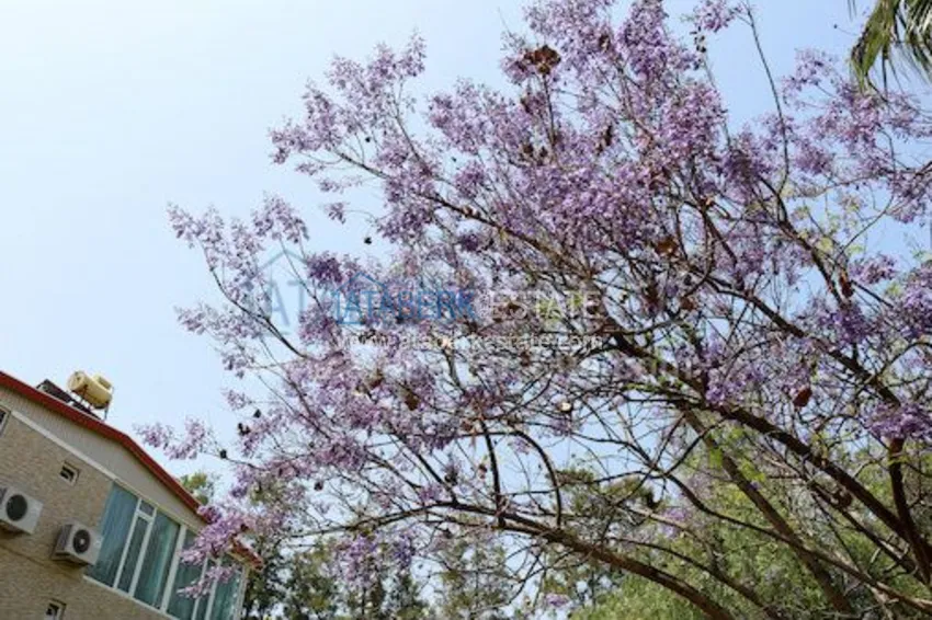 Complex of townhouses on the Mediterranean coast at a low price! 18 