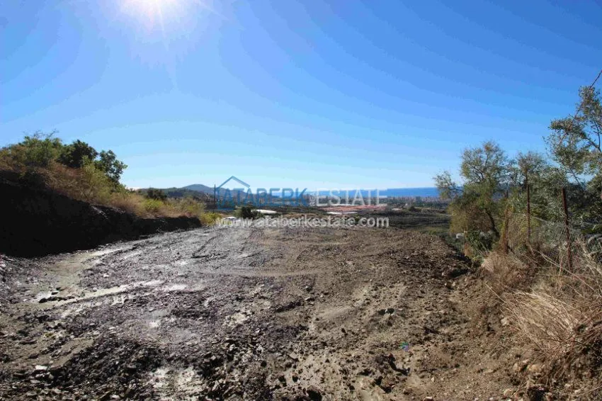 2+1 в комплексе с закрытым и открытым бассейнами  3 