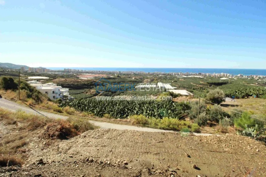 Land for construction 19 