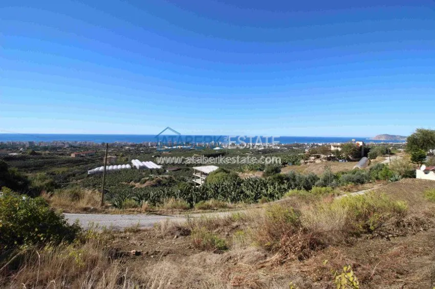 Land for construction 20 