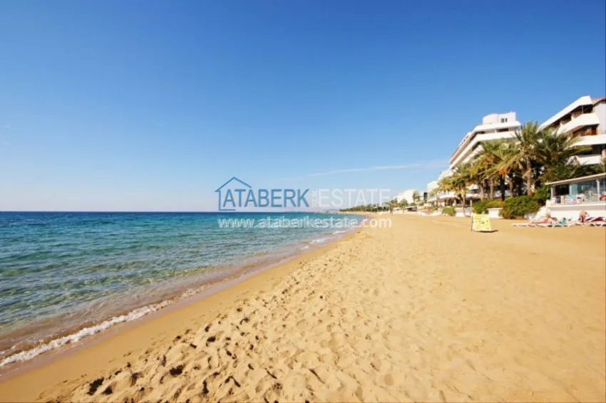 1+1 apartment in Orion City 33 