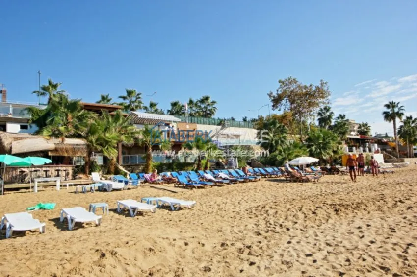 1+1 apartment in Orion City 36 